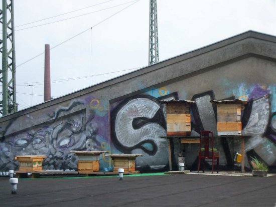 5 Kästen