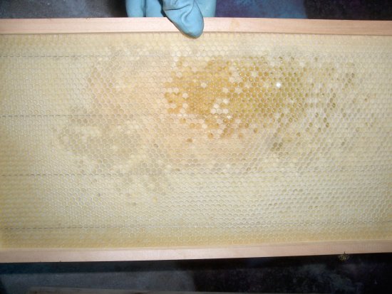 Rähmchen 7a