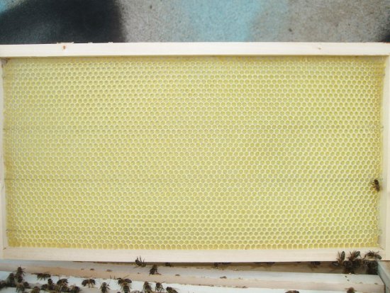 Rähmchen 1b