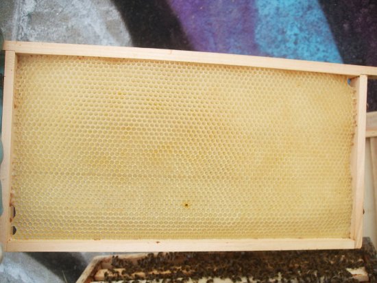 Rähmchen 10a