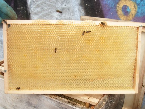 Rähmchen 10b