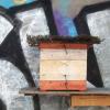 Viele Bienen an der Kiste