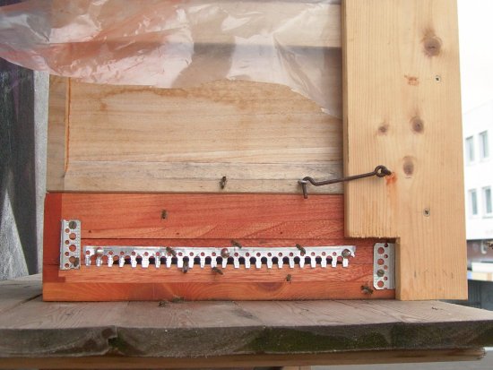 Mäusegitter