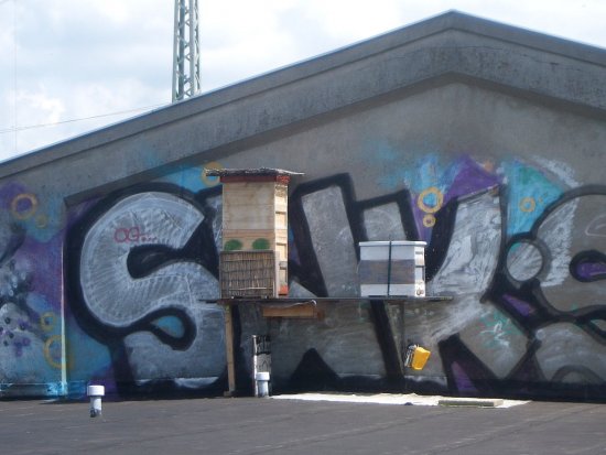 Höchster Aufbau