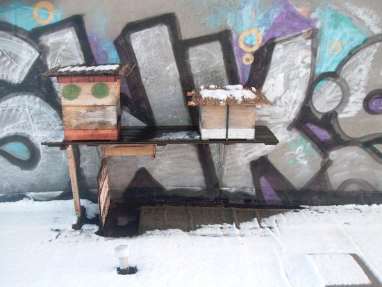 Der erste Schnee