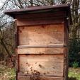 Bee project