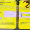 Wildbienen-Lehrpfad in Bremen