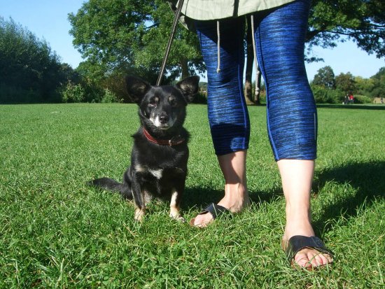 Lilly, 8 Jahre