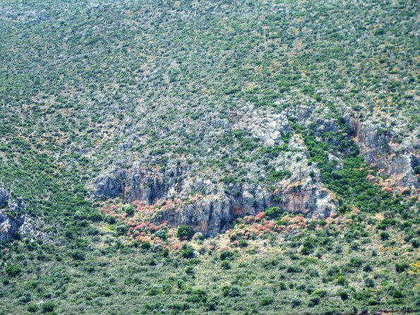 Karstheide