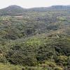 Alte Agrarlandschaft