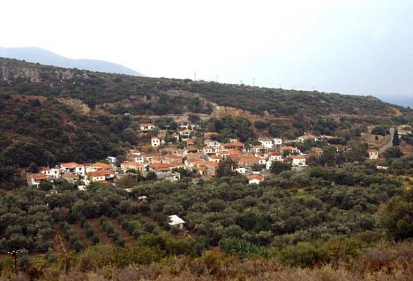 Nomia
