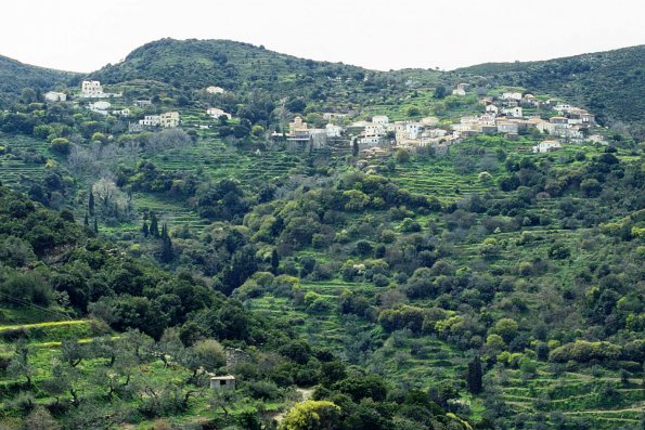 Koulendia
